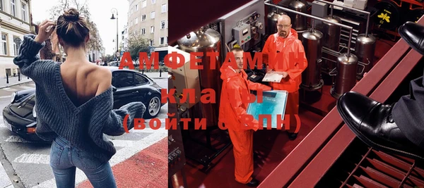 ГАЛЛЮЦИНОГЕННЫЕ ГРИБЫ Пересвет