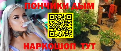 индика Абинск