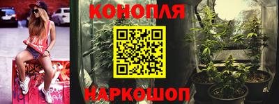 индика Абинск