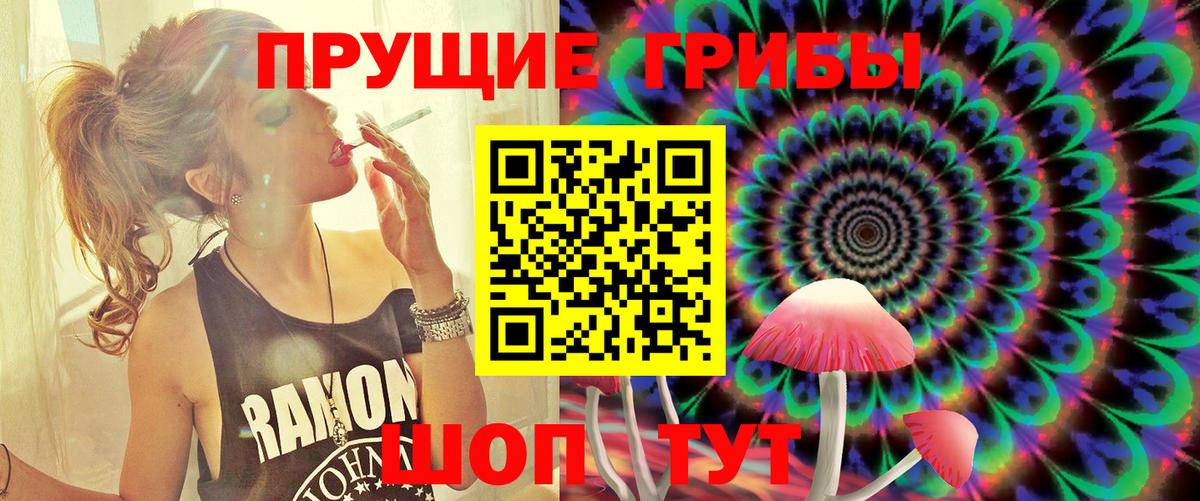 Анжеро-Судженск  Псилоцибиновые грибы GOLDEN TEACHER  Вход с VPN  Галлюциногенные грибы MAGIC MUSHROOMS 
