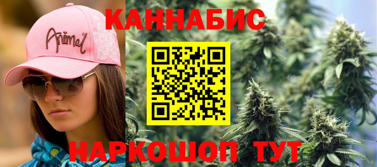 Бошки марихуана Amnesia Анжеро-Судженск